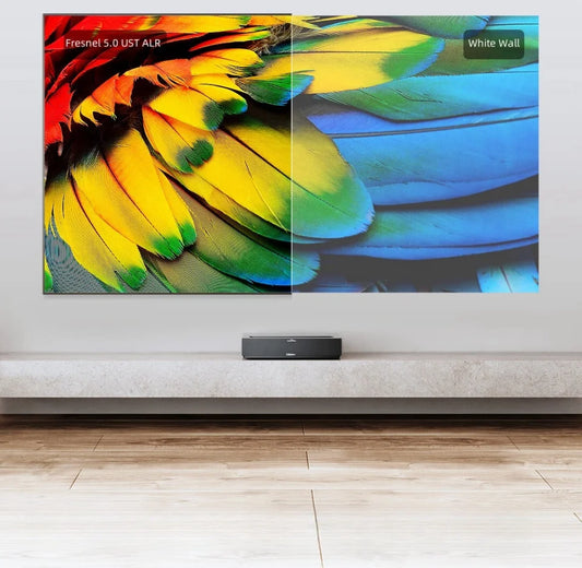 Colorful parrot feathers projected onto a wall with a soundbar below.