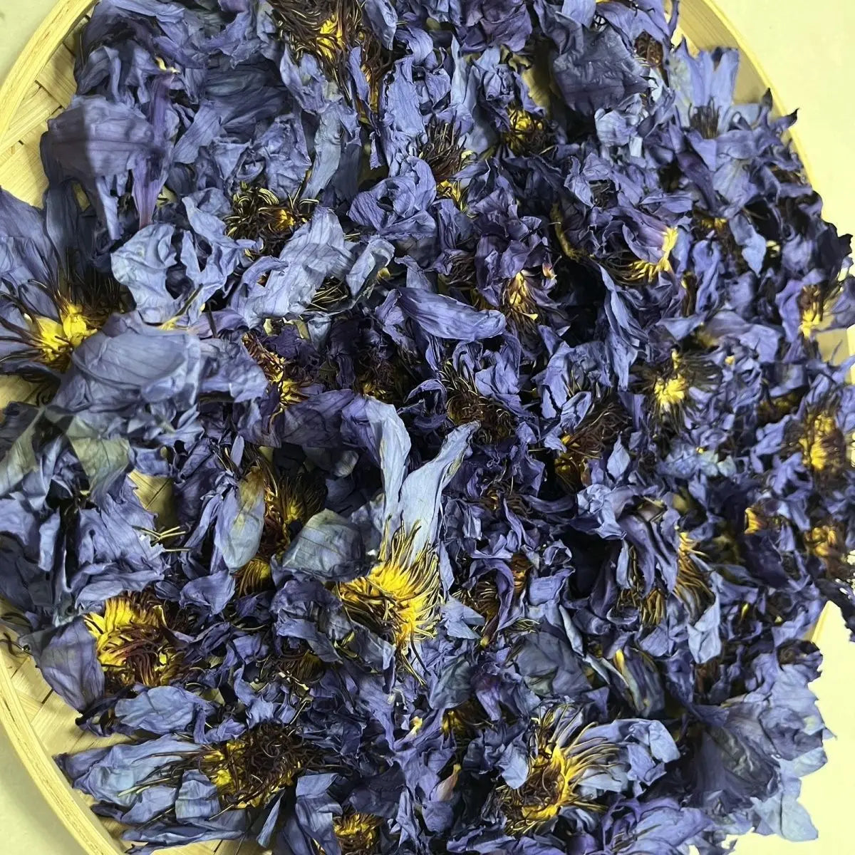 Premium Dried Blue Lotus – Egyptian Water Lily Flowers