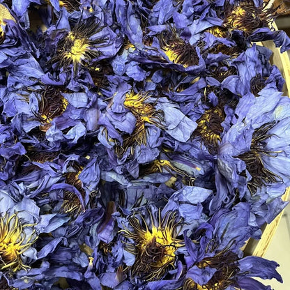 Premium Dried Blue Lotus – Egyptian Water Lily Flowers