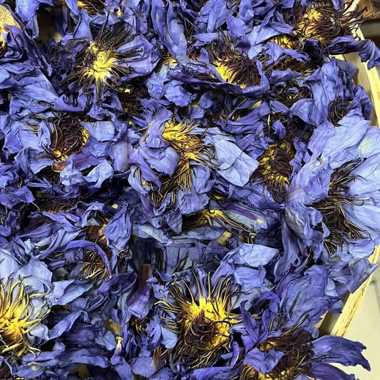 Premium Dried Blue Lotus – Egyptian Water Lily Flowers