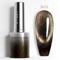 Venalisa TPO Free Hema Free 10ml Winter Nails Warm Coffee Cat Eye Nail Gel Polish Magnet Soak Off UV LED Semi Permanent Nail Gel